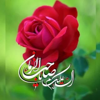 کلام گهربار مولی متقیان حضرت علی ابن ابیطالب(علیه السلام)